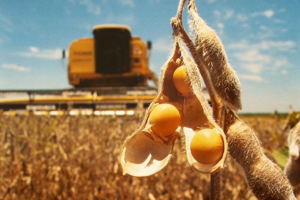 Mato Grosso segue como maior produtor de grãos do país