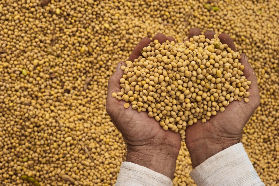 Redução na importação de fertilizantes em MT mostra o impacto na realidade do produtor rural