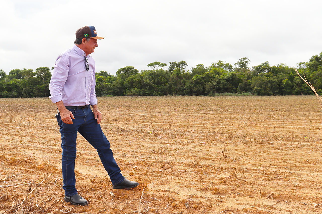 Crise na Safra: Vereadores cobram ações do Ministério da Agricultura