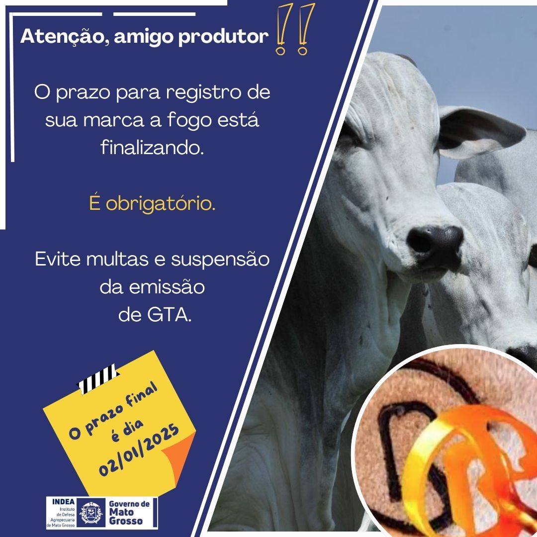 Registro da marca a ferro no Indea tem data limite