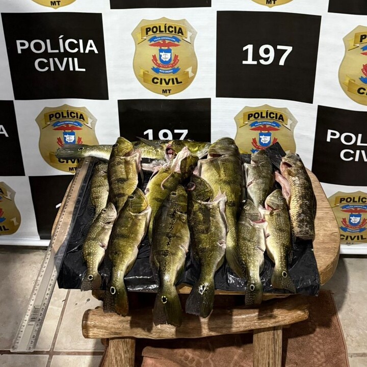 “Operação Rede Rompida” flagra pesca ilegal em período de Piracema em Canarana
