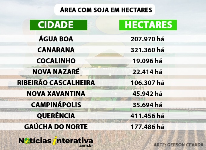Indea informa áreas com soja na região; confira os números em seu município
