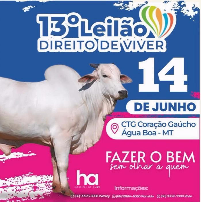 13º Leilão Direito de Viver será realizado neste domingo
