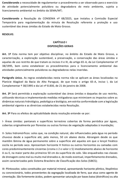 RES AREAS UMIDAS CONSEMA n 31 2026 versao limpa para publicacao 2