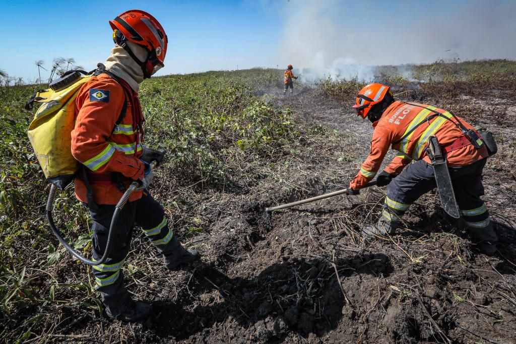 Bombeiros abrem vagas temporárias - veja cidades da região