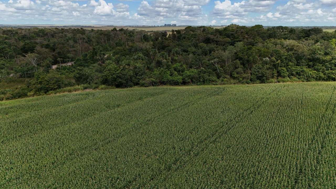 Agronegócio: monitoramento via satélite torna-se requisito para exportações